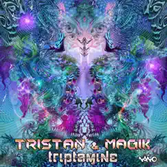 Triptamine - Single by Tristan & Magik album reviews, ratings, credits