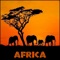 African Safari - Derek Fiechter lyrics