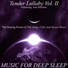 Tender Lullaby, Vol. II: The Healing Power of the Hang (feat. Ann Malonne) album lyrics, reviews, download