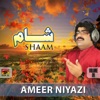 Ameer Niyazi - Kahani