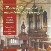 Feestelijke muziek voor trompet en orgel artwork