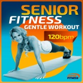 Senior Fitness Gentle Workout artwork