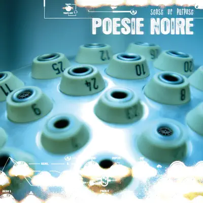 Sense of Purpose - Poesie Noire