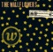 I Wish I Felt Nothing - The Wallflowers lyrics