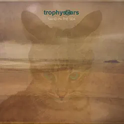 Sand in the Sea - Trophy Scars