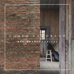 Coalo Zamorano - Damos Honor a Ti