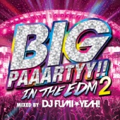 BIG PAAARTY -IN THE EDM 2- mixed by DJ FUMI★YEAH! artwork