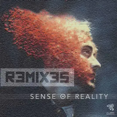 Sense of Reality Remixes - Single - Vermont Sense of Reality Remixes - Single - Vermont