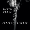 Perfect Silence artwork