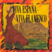 Viva España - Viva Flamenco (Live) artwork