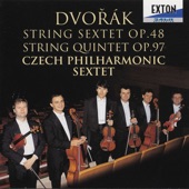 String Sextet in A Major, Op. 48: 2. Dumka (Elegie): Poco Allegretto artwork