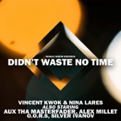 Didn't Waste No Time (Alex Millet Remix) artwork
