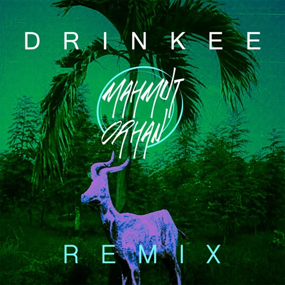 Cover artwork for Drinkee (Mahmut Orhan Remix)