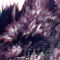 Kava - Ambassadeurs lyrics