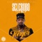 Tonyor (feat. Mr. P) - Selebobo lyrics