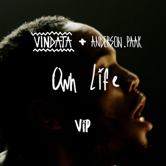 Cover artwork for Own Life (feat. Anderson .Paak) [VIP Mix]