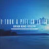 I Took a Pill in Ibiza - Single album lyrics, reviews, download