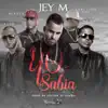 Yo sabía (feat. Alexis & Fido, De La Ghetto & Carlitos Rossy) [Remix] - Single album lyrics, reviews, download