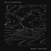 What I Can Hide artwork