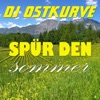 Spür den Sommer (Remixes)