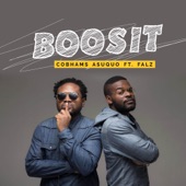 Boosit (feat. Falz) artwork