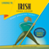 LANGUAGE/30 - Irish Crash Course (Unabridged)