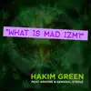 What Is Mad Izm? (feat. KRS-One & General Steele) - Single album lyrics, reviews, download