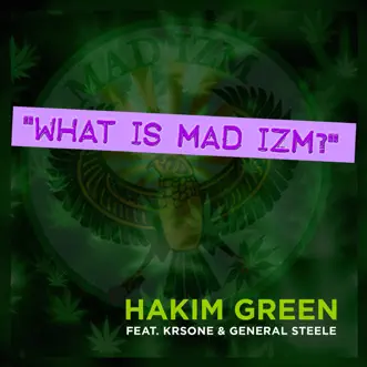 What Is Mad Izm? (feat. KRS-One & General Steele) - Single by Hakim Green album reviews, ratings, credits