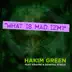 What Is Mad Izm? (feat. KRS-One & General Steele) - Single album cover