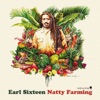 Natty Farming, 2016