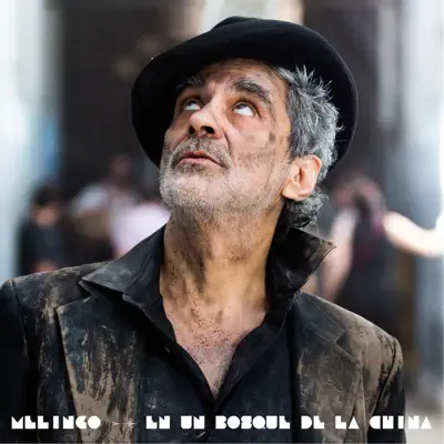 En un Bosque de la China - Single - Melingo