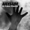 Asylum - DJ Fake Plastic lyrics