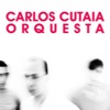 Carlos Cutaia - Programación