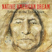 Native American Dream artwork