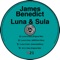 Luna & Sula (Greenfish Remix) - James Benedict lyrics