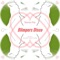 Blimpers Disco - Stevie Fitz lyrics