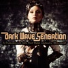 Dark Wave Sensation - A Transmission Into Post Punk Coldwave Movement