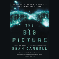 Sean Carroll - The Big Picture: On the Origins of Life, Meaning, and the Universe Itself (Unabridged) artwork