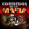 Corridos De La Mafia