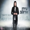 סיבות להישאר - Single