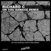 On You Damage (Chrys Dan Remix) - Single album lyrics, reviews, download