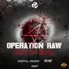 Seven Sins (Operation Raw Anthem) - Single album lyrics, reviews, download