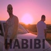 Habibi (feat. Young Zerka) - Single