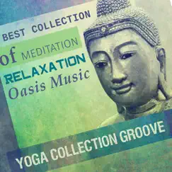 Best Collection of Meditation Relaxation Oasis Music - Yoga Collection Groove, Calming Session, Spa, Massage, Reiki Healing by Meditation Mantras Guru album reviews, ratings, credits