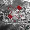 Young & Unafraid (Robert DeLong Remix) - Single album lyrics, reviews, download