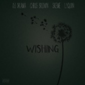 Dj Drama - Wishing (feat. Chris Brown, Skeme & Lyquin)