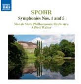 Slovak State Philharmonic Orchestra & Urs Schneider - Symphony No. 5 in C Minor, Op. 102: IV. Presto
