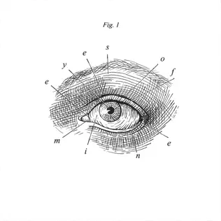 baixar álbum Eyes of Mine - Fig 1