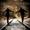 Cause I Had You - Single