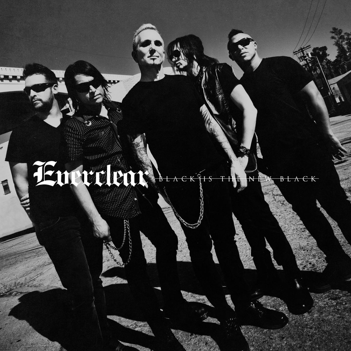 black-is-the-new-black-bonus-track-version-by-everclear-on-apple-music